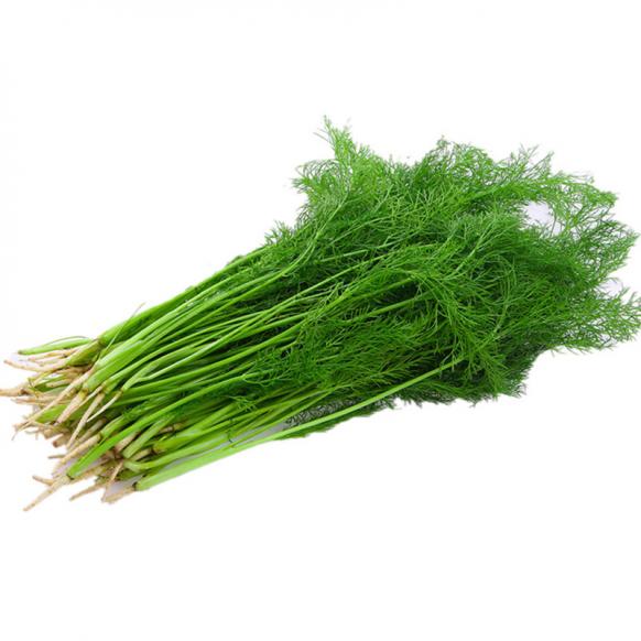 茴香菜怎么吃，武汉出现起确诊病例