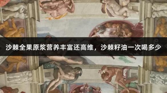 沙棘全果原浆营养丰富还高维，沙棘籽油一次喝多少