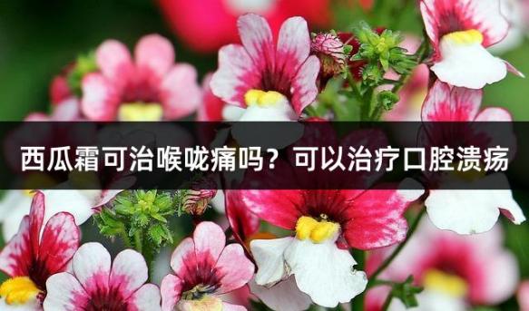 西瓜霜可治喉咙痛吗？可以治疗口腔溃疡