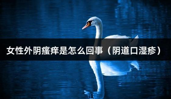 女性外阴瘙痒是怎么回事（阴道口湿疹）