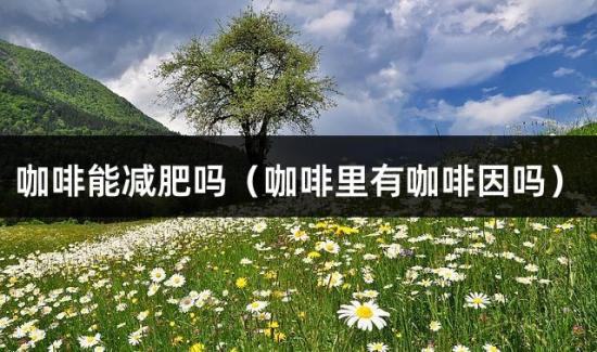 咖啡能减肥吗（咖啡里有咖啡因吗）