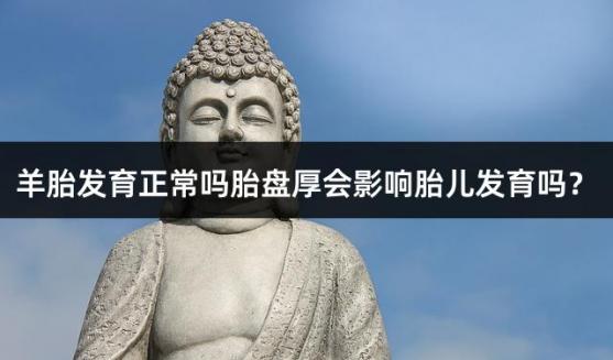 羊胎发育正常吗胎盘厚会影响胎儿发育吗？