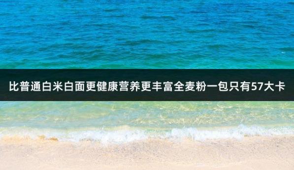 比普通白米白面更健康营养更丰富全麦粉一包只有57大卡