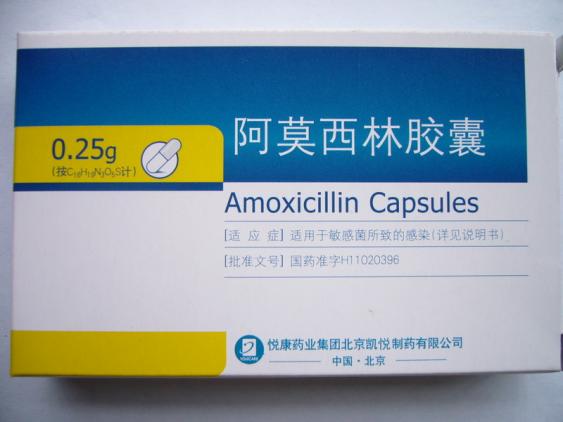 阿莫西林是抗生素吗，牛蛙抗生素知多少？