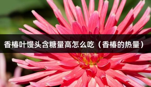 香椿叶馒头含糖量高怎么吃（香椿的热量）