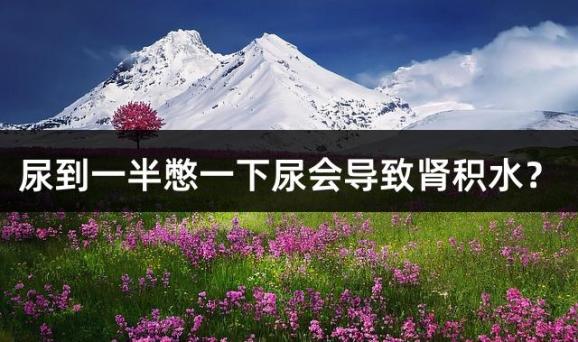 尿到一半憋一下尿会导致肾积水？