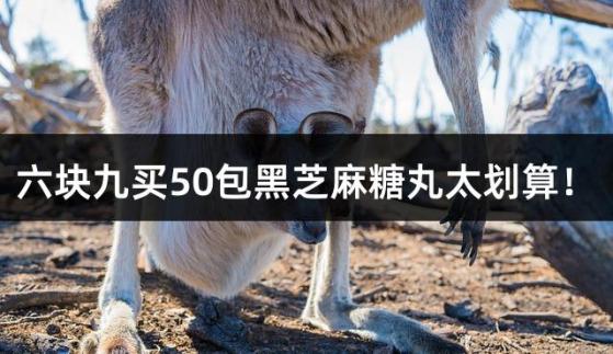 六块九买50包黑芝麻糖丸太划算！