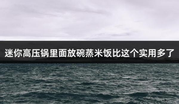 迷你高压锅里面放碗蒸米饭比这个实用多了