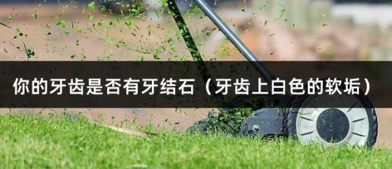你的牙齿是否有牙结石（牙齿上白色的软垢）