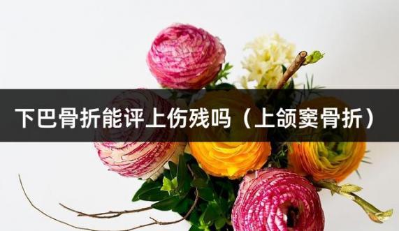下巴骨折能评上伤残吗（上颌窦骨折）