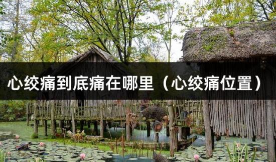 心绞痛到底痛在哪里（心绞痛位置）
