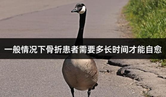 一般情况下骨折患者需要多长时间才能自愈