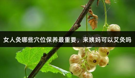 女人灸哪些穴位保养最重要，来姨妈可以艾灸吗