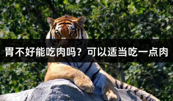 胃不好能吃肉吗？可以适当吃一点肉