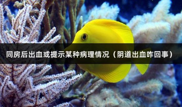 同房后出血或提示某种病理情况（阴道出血咋回事）