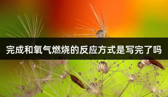 完成和氧气燃烧的反应方式是写完了吗