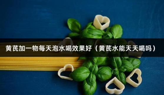 黄芪加一物每天泡水喝效果好（黄芪水能天天喝吗）