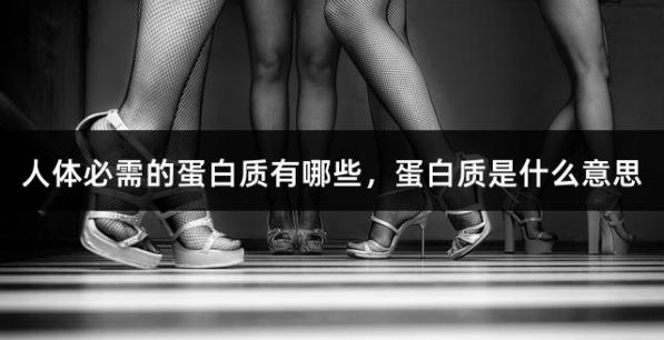 人体必需的蛋白质有哪些，蛋白质是什么意思