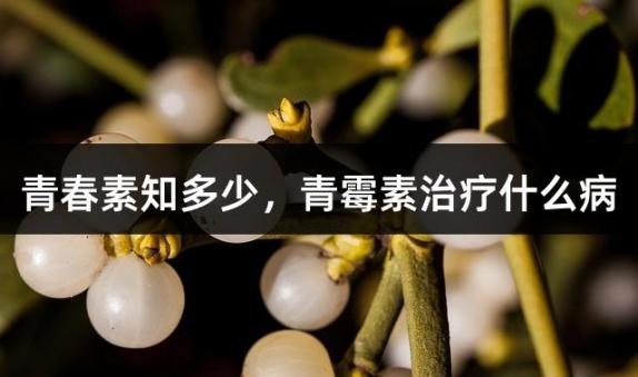 青春素知多少，青霉素治疗什么病
