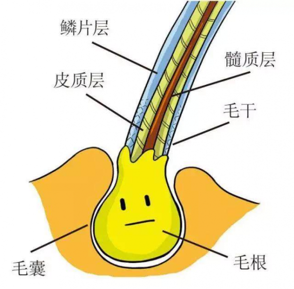 毛囊闭锁综合征医生：吃异维a和辛辣食物会加重病情