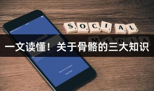 一文读懂！关于骨骼的三大知识