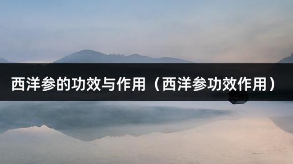 西洋参的功效与作用（西洋参功效作用）