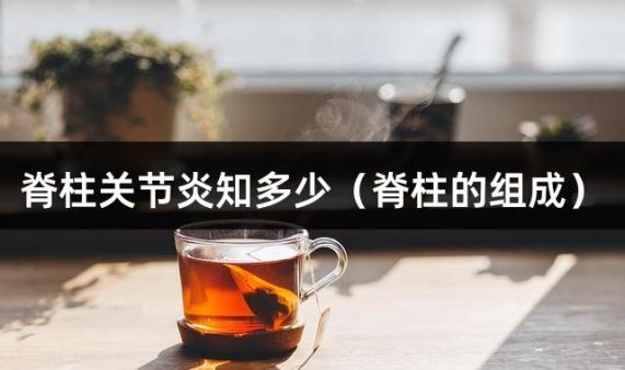 脊柱关节炎知多少（脊柱的组成）