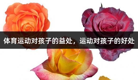 体育运动对孩子的益处，运动对孩子的好处