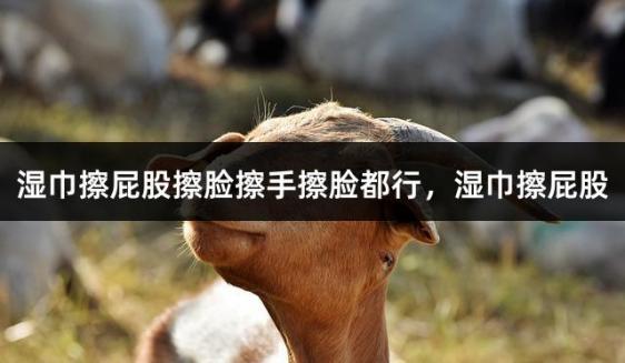 湿巾擦屁股擦脸擦手擦脸都行，湿巾擦屁股