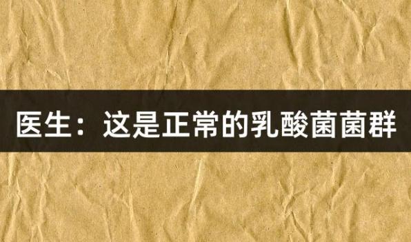 医生：这是正常的乳酸菌菌群