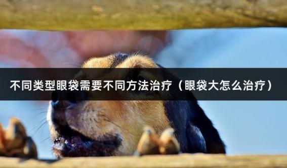 不同类型眼袋需要不同方法治疗（眼袋大怎么治疗）