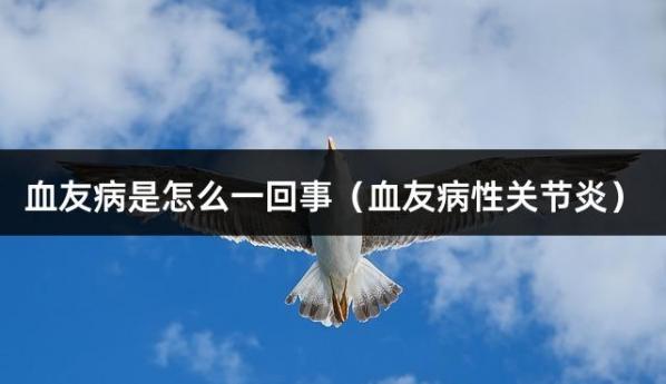 血友病是怎么一回事（血友病性关节炎）