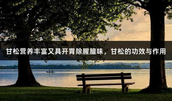 甘松营养丰富又具开胃除腥膻味，甘松的功效与作用