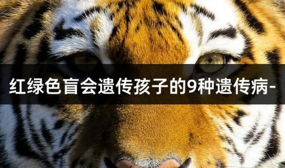 红绿色盲会遗传孩子的9种遗传病/