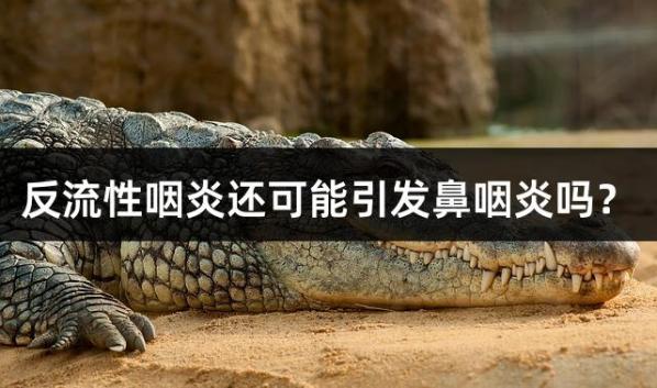 反流性咽炎还可能引发鼻咽炎吗？