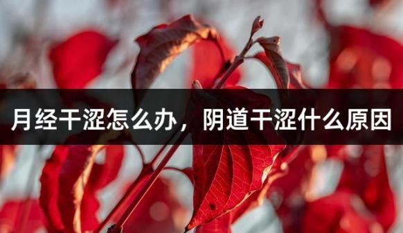 月经干涩怎么办，阴道干涩什么原因