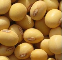 五种食物有助平衡体温和调节肠胃功能