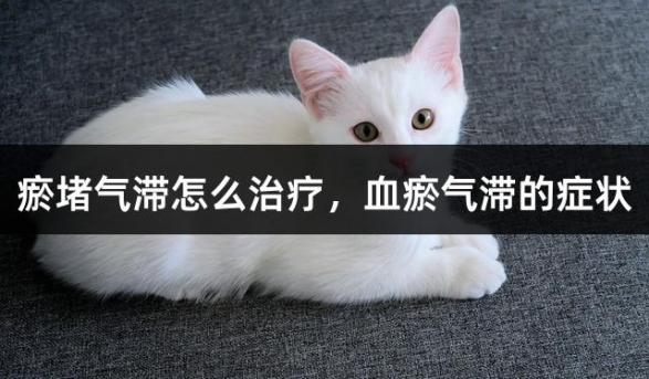 瘀堵气滞怎么治疗，血瘀气滞的症状