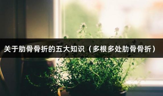 关于肋骨骨折的五大知识（多根多处肋骨骨折）