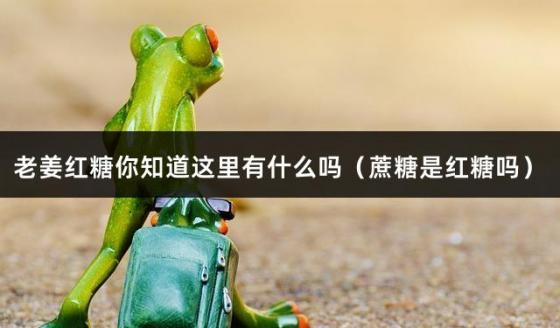 老姜红糖你知道这里有什么吗（蔗糖是红糖吗）