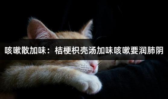 咳嗽散加味：桔梗枳壳汤加味咳嗽要润肺阴