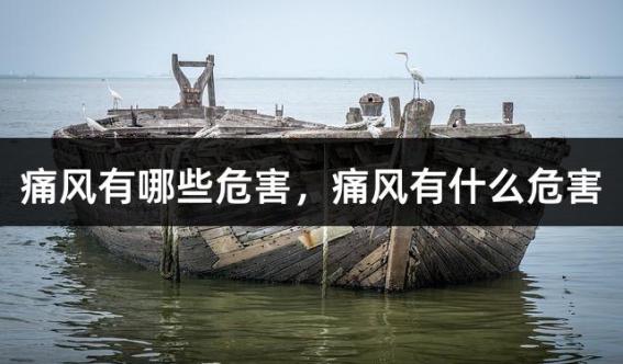 痛风有哪些危害，痛风有什么危害
