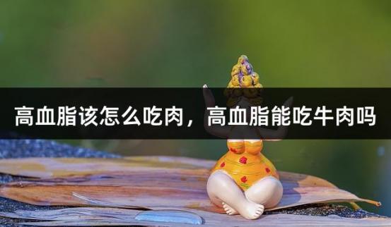 高血脂该怎么吃肉，高血脂能吃牛肉吗