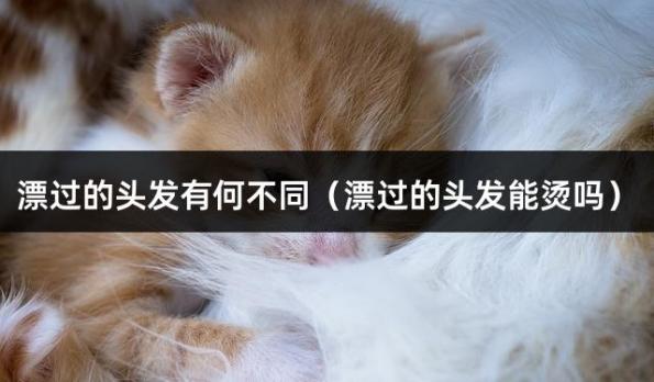 漂过的头发有何不同（漂过的头发能烫吗）