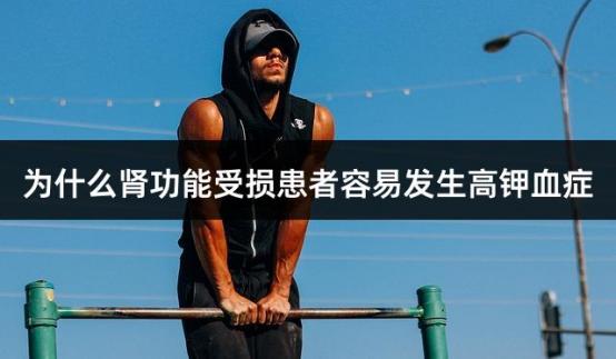 为什么肾功能受损患者容易发生高钾血症