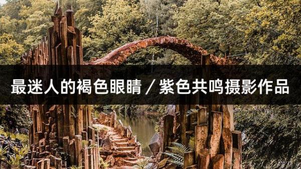 最迷人的褐色眼睛／紫色共鸣摄影作品