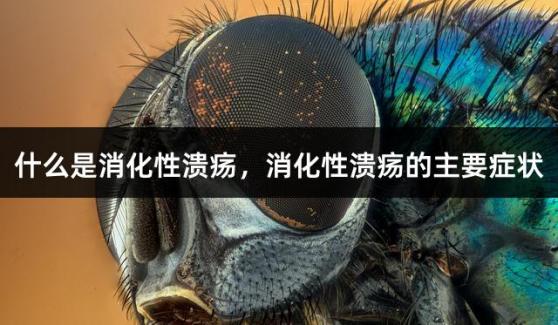 什么是消化性溃疡，消化性溃疡的主要症状