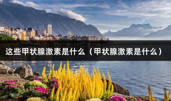 这些甲状腺激素是什么（甲状腺激素是什么）