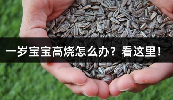 一岁宝宝高烧怎么办？看这里！