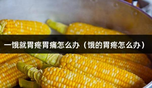 一饿就胃疼胃痛怎么办（饿的胃疼怎么办）